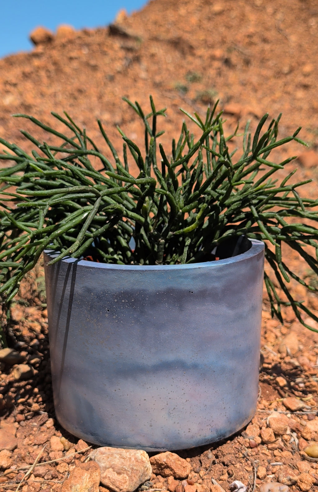 5” Galaxy Round Concrete Planter