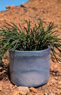 5” Galaxy Round Concrete Planter