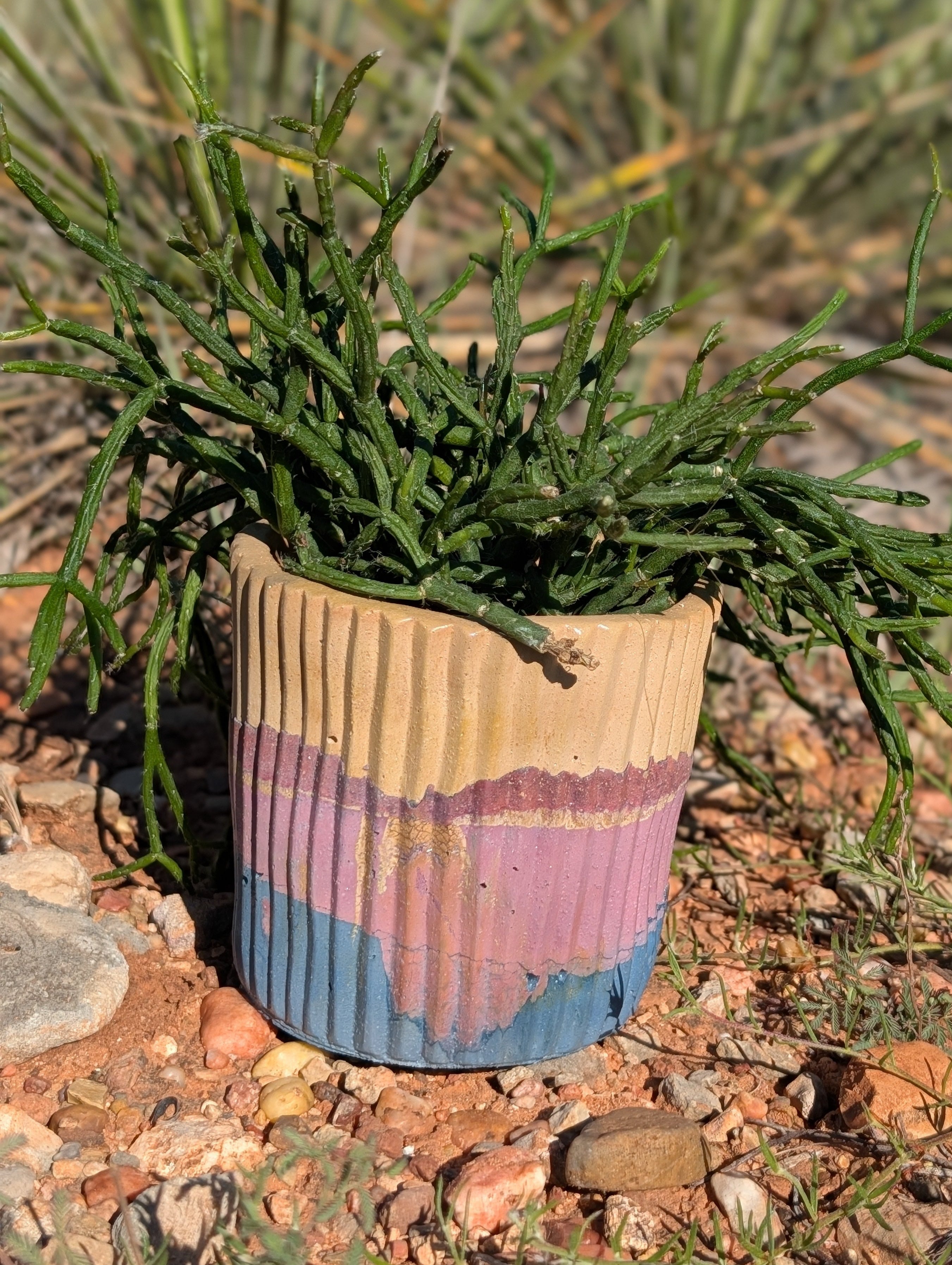 4” Purple Sands Turtleneck Concrete Planter
