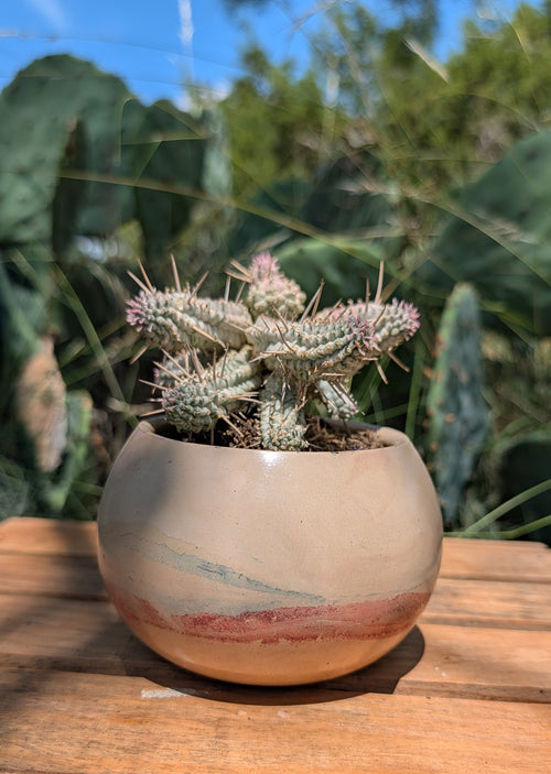 3.25” Terra Landing Concrete Globe Planter