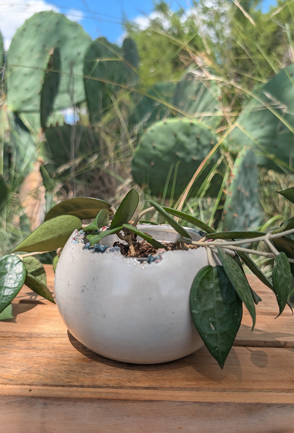 3.25” Concrete Bits Globe Planter