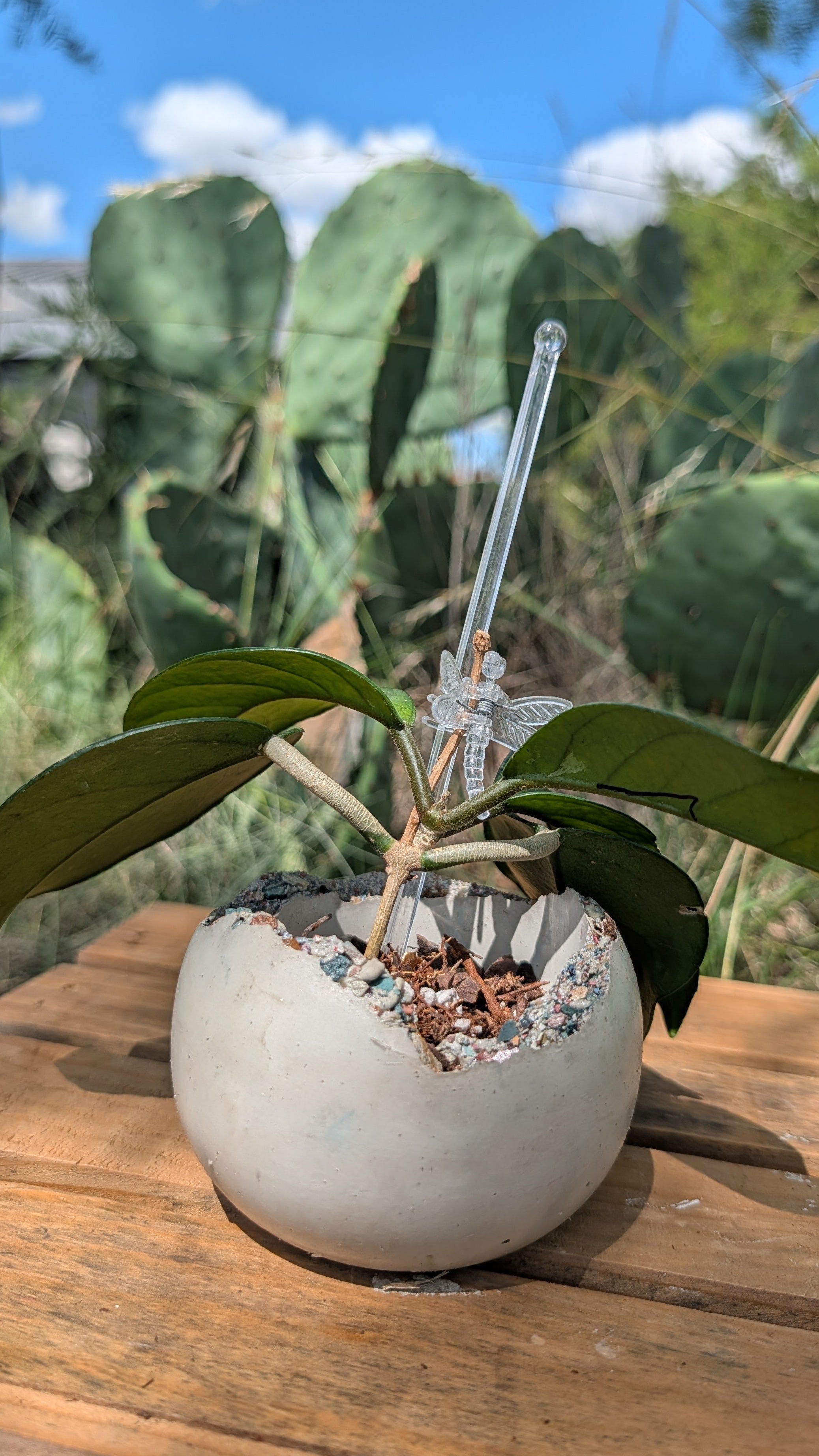 3” Concrete Bits Globe Planter