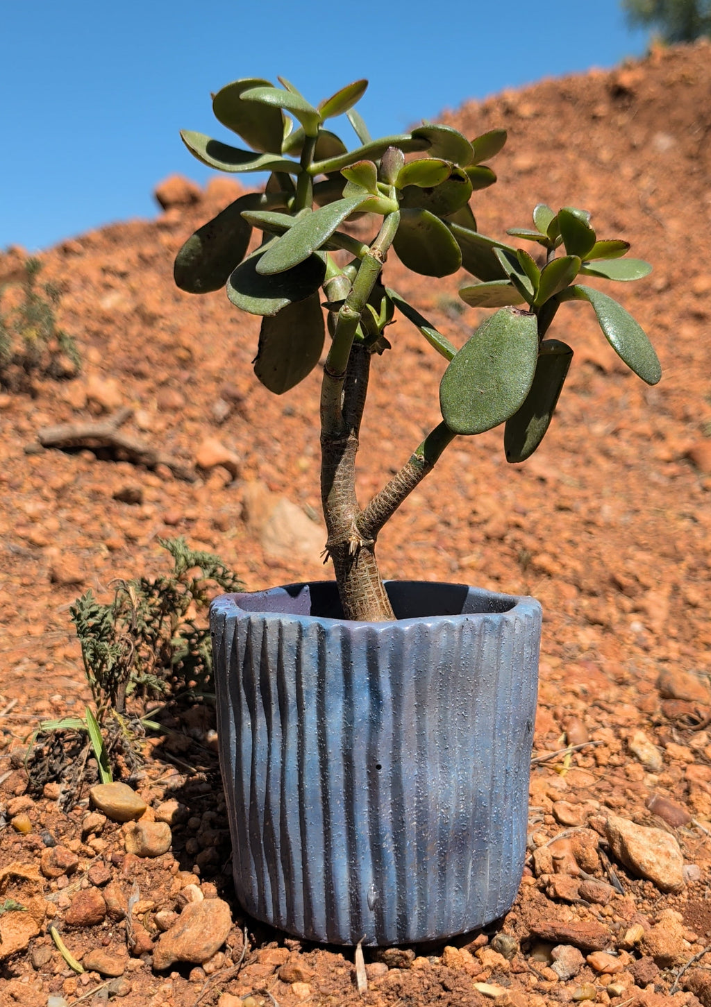 4” Galaxy Concrete Pot