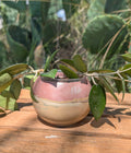 3” Terra Landing Concrete Globe Planter
