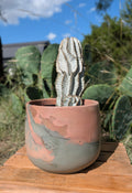 6” Terra Landing Round Concrete Planter