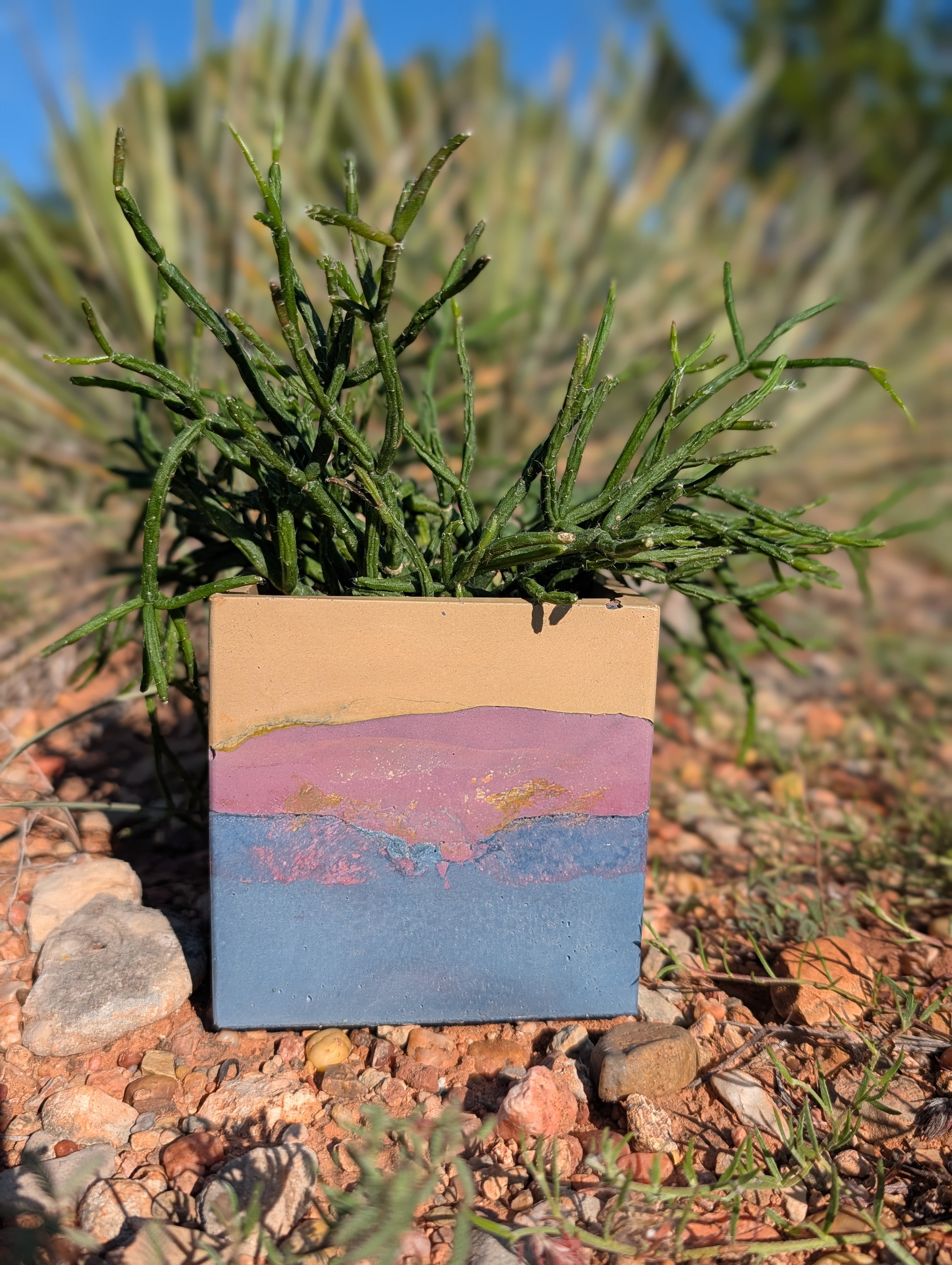4” Purple Sands Square Concrete Planter