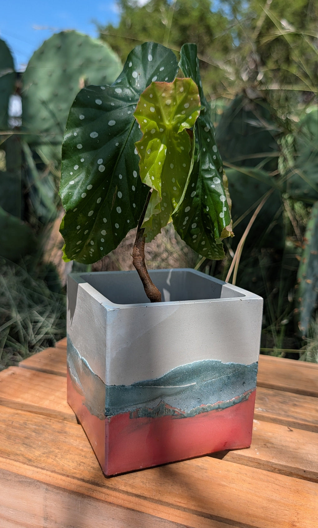 4” Terra Landing Square Concrete Planter