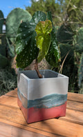 4” Terra Landing Square Concrete Planter