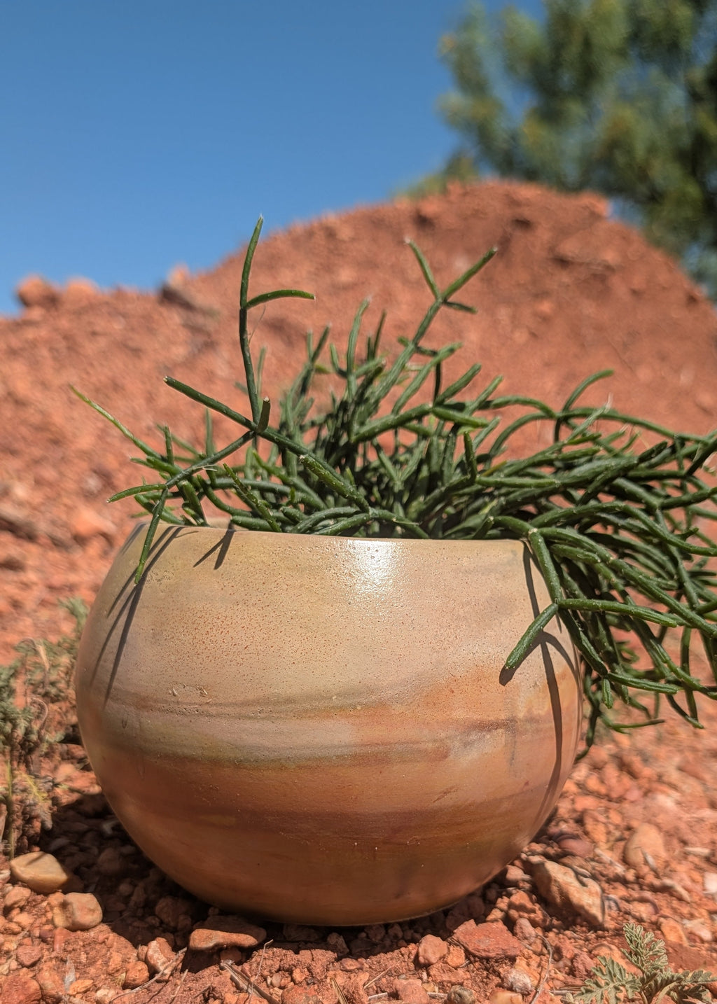 5.5” Jupiter Concrete Globe Pot