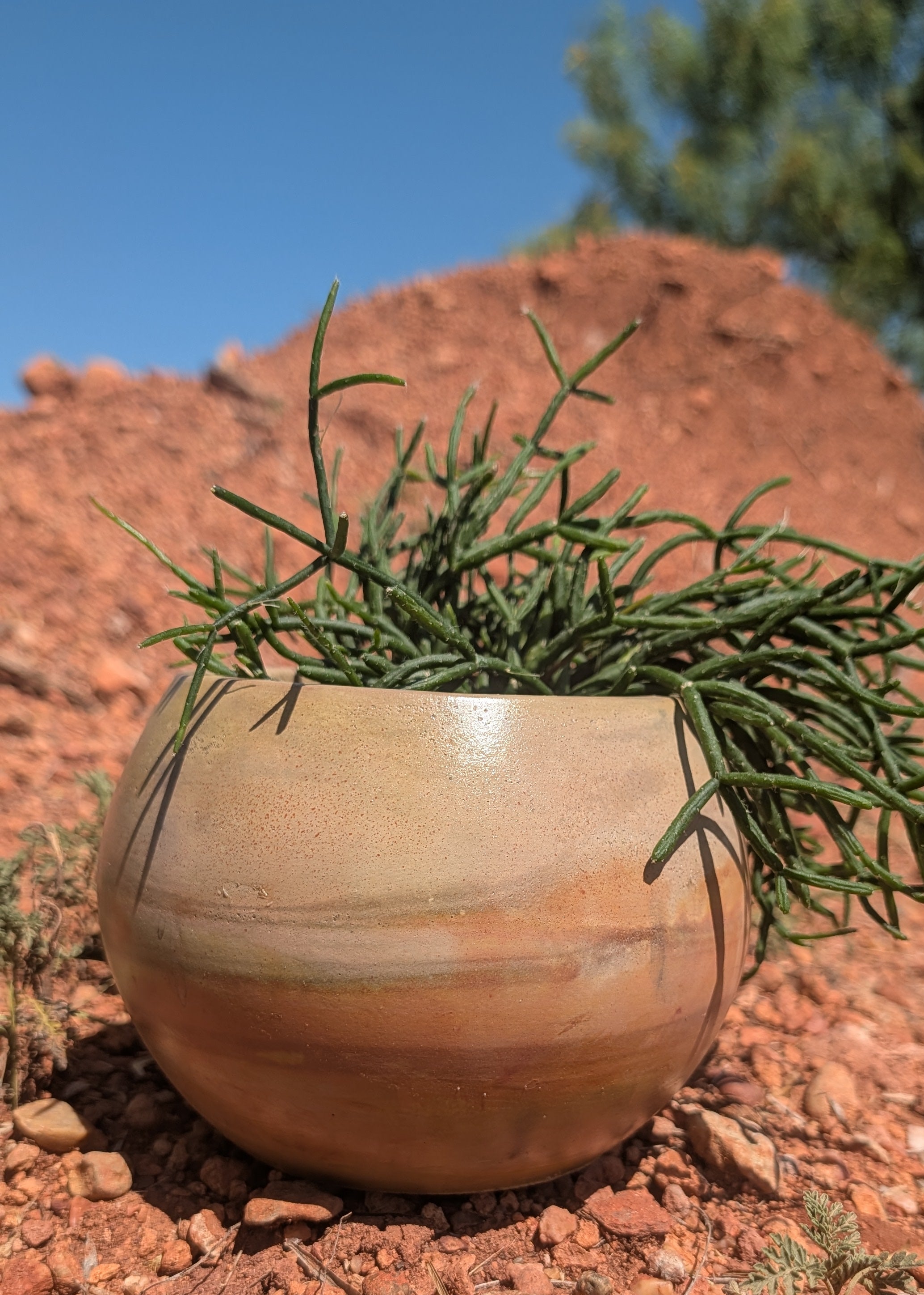 5.5” Jupiter Concrete Globe Pot