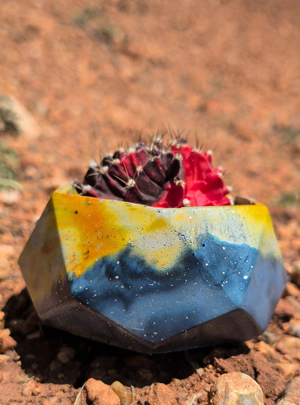 3”x2” Nebula Hexagon Concrete Planter