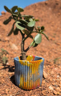 4” Nebula Turtleneck Concrete Pot