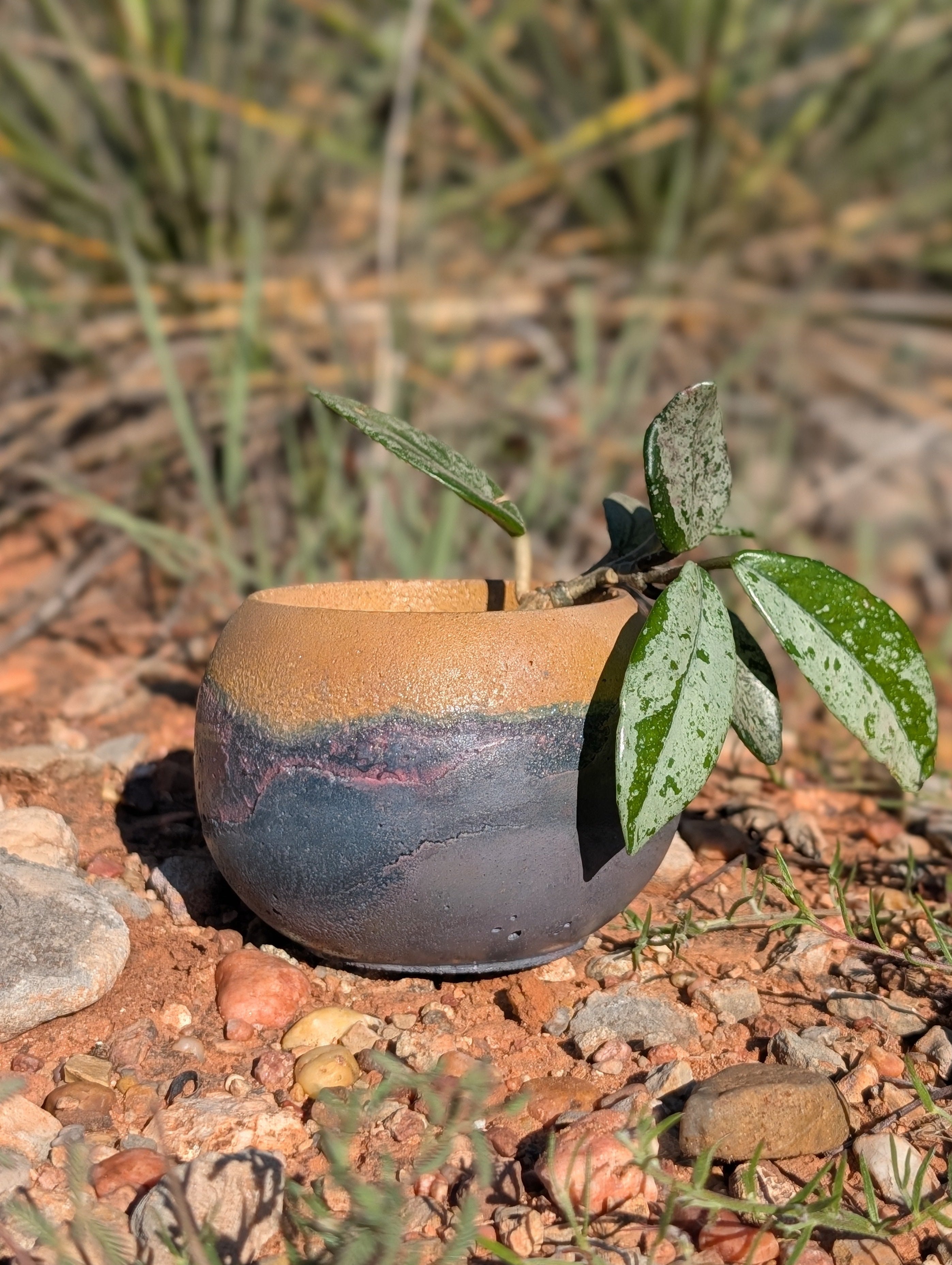 3” Purple Sands Concrete Globe Planter