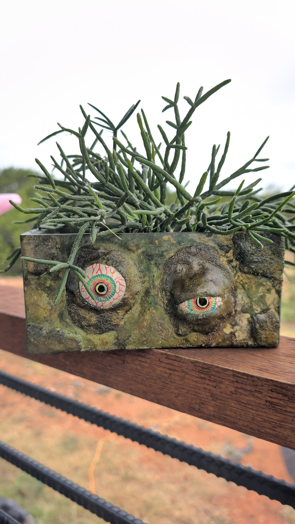 7.5"x3.5" Zombie Eyes Concrete Rectangle Planter