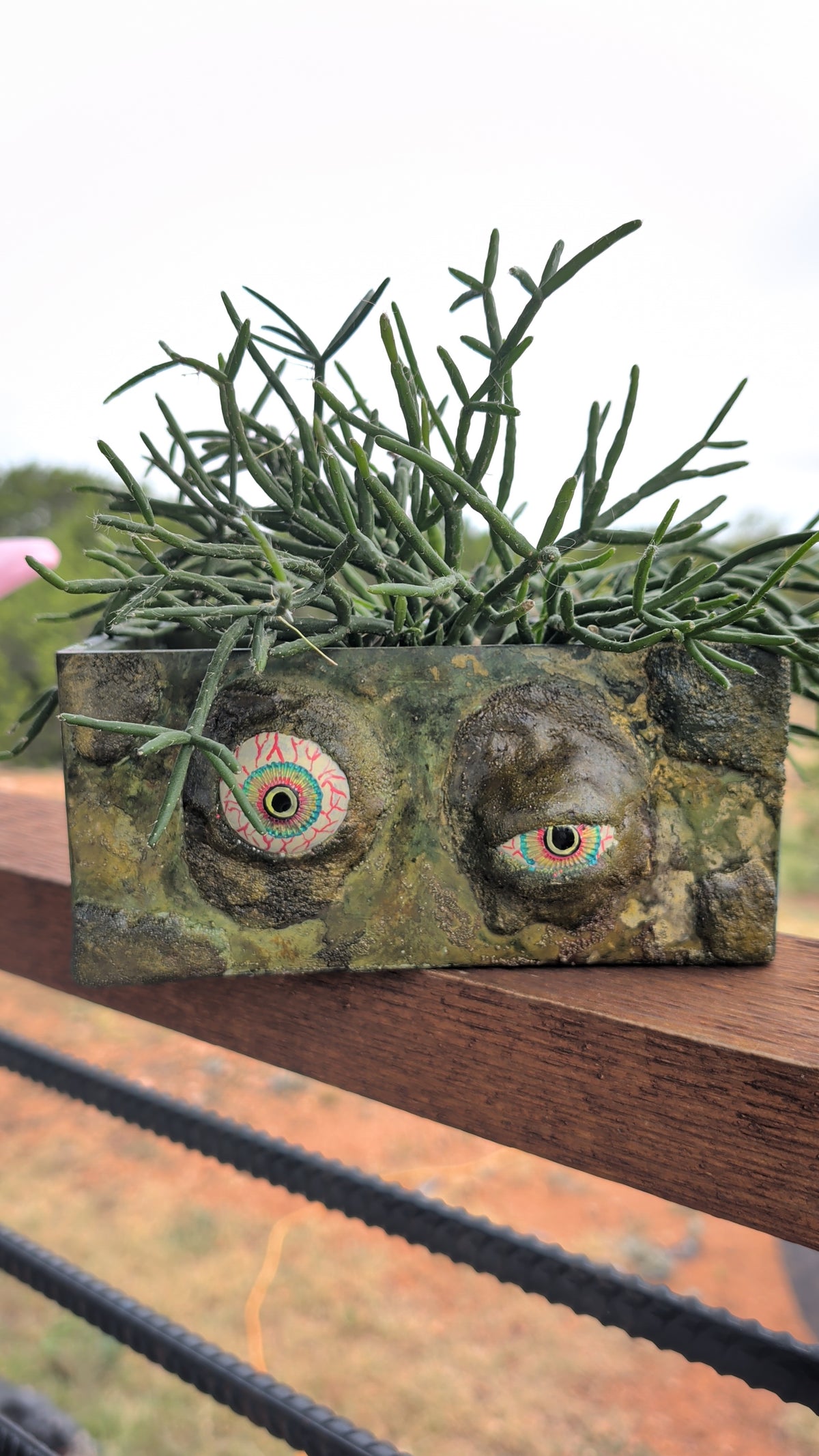 7.5"x3.5" Zombie Eyes Concrete Rectangle Planter