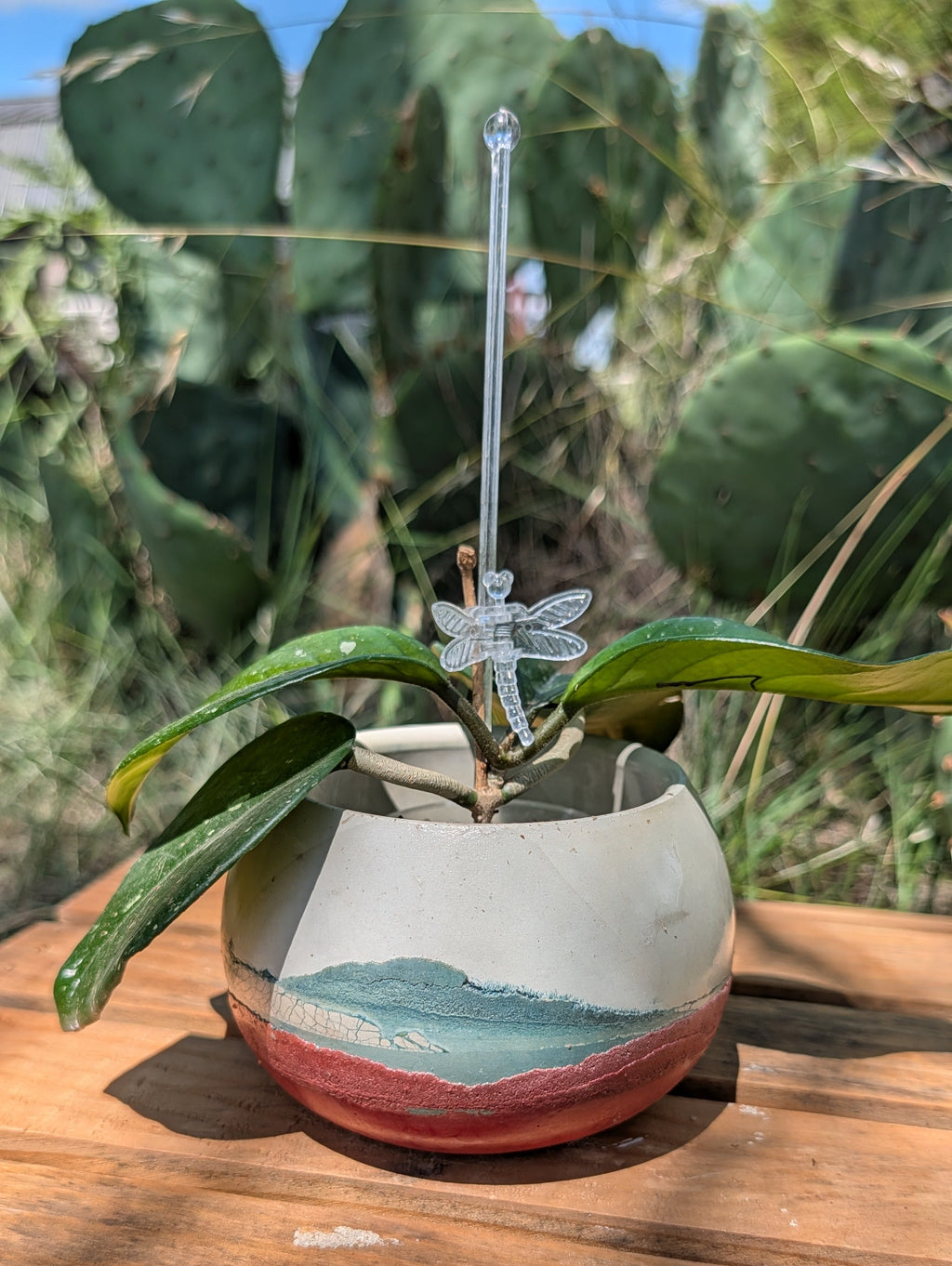 3.25” Terra Landing Concrete Globe Planter