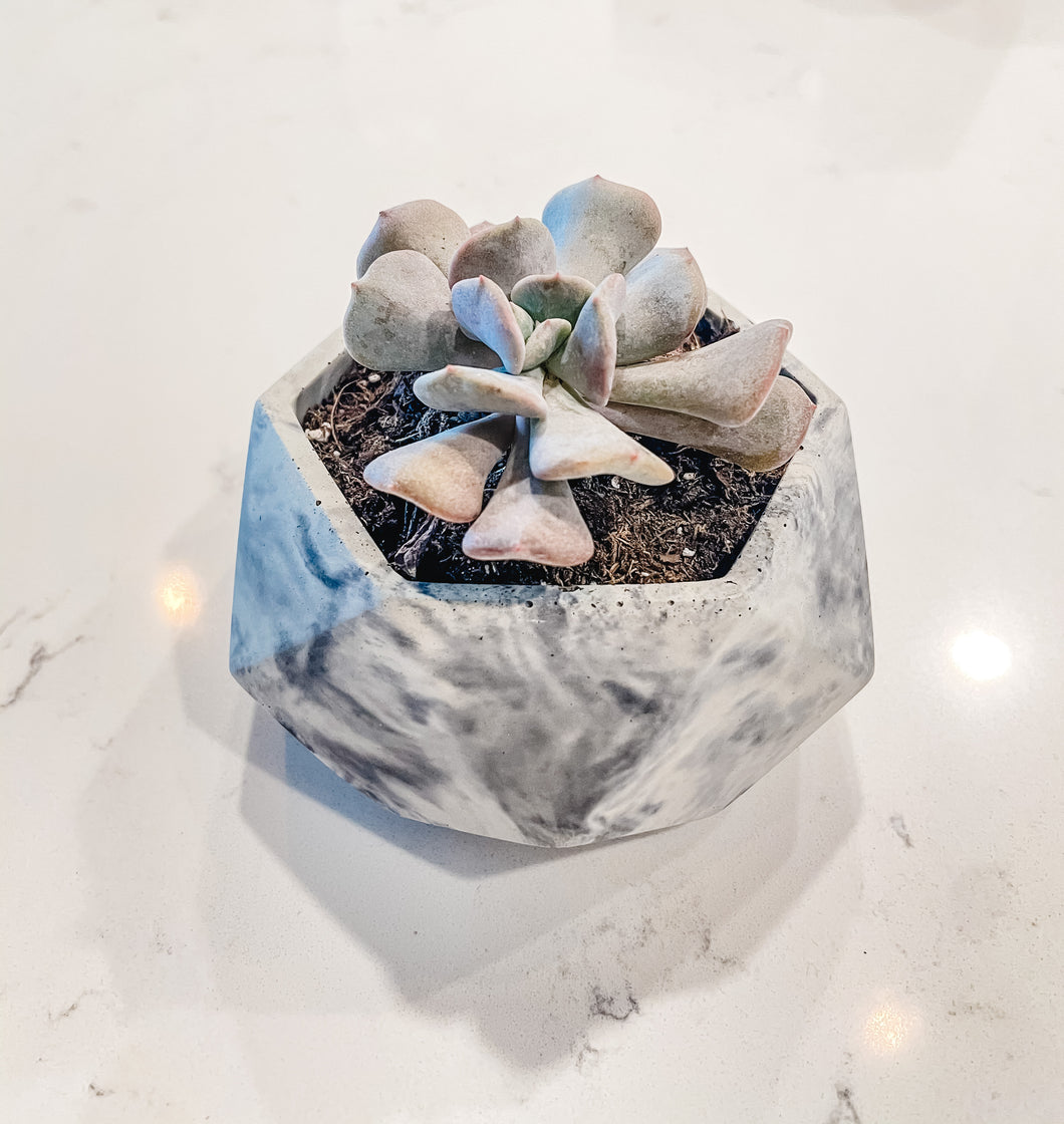 Cement Hexagon Planter - Marble