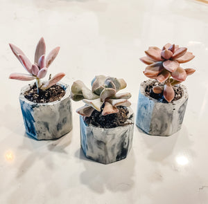 Trio Concrete Planters - Marble