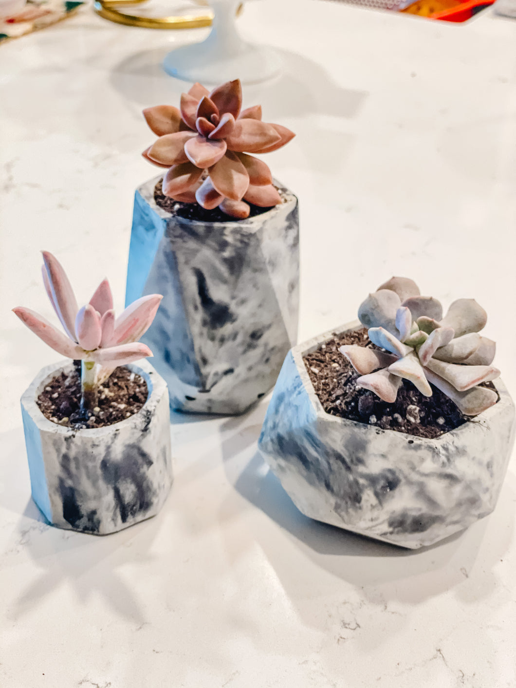 Geometric Cement Flower Pot - Marble