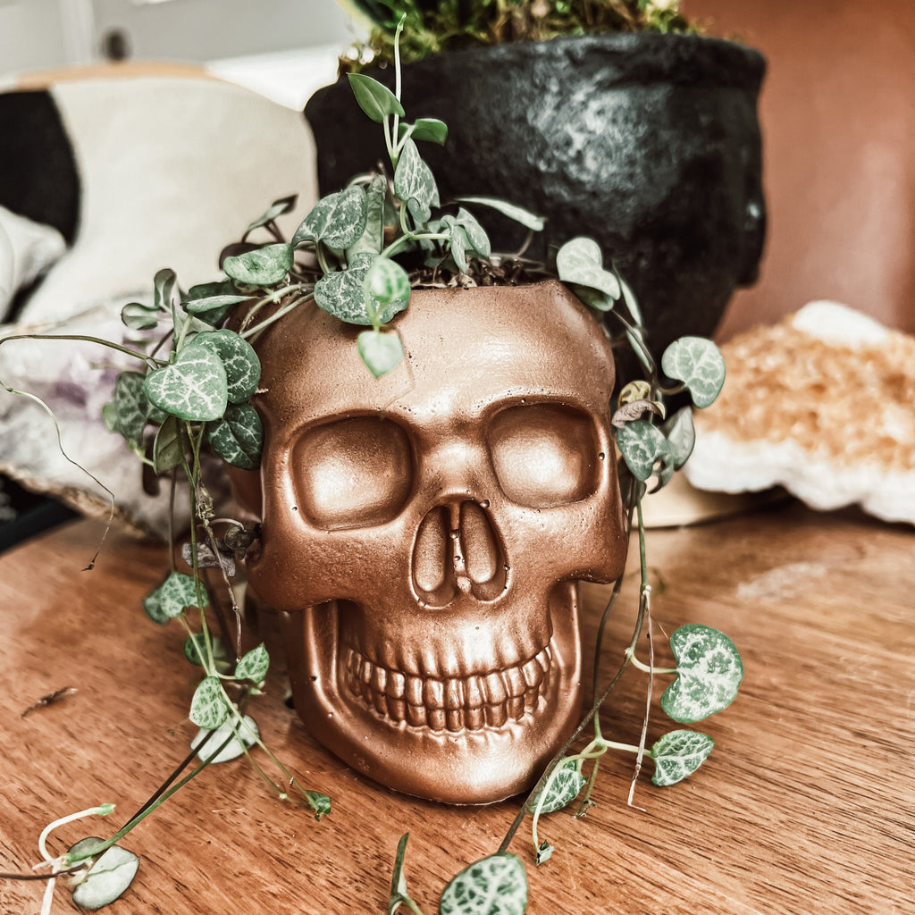 4" Concrete Skull Planter