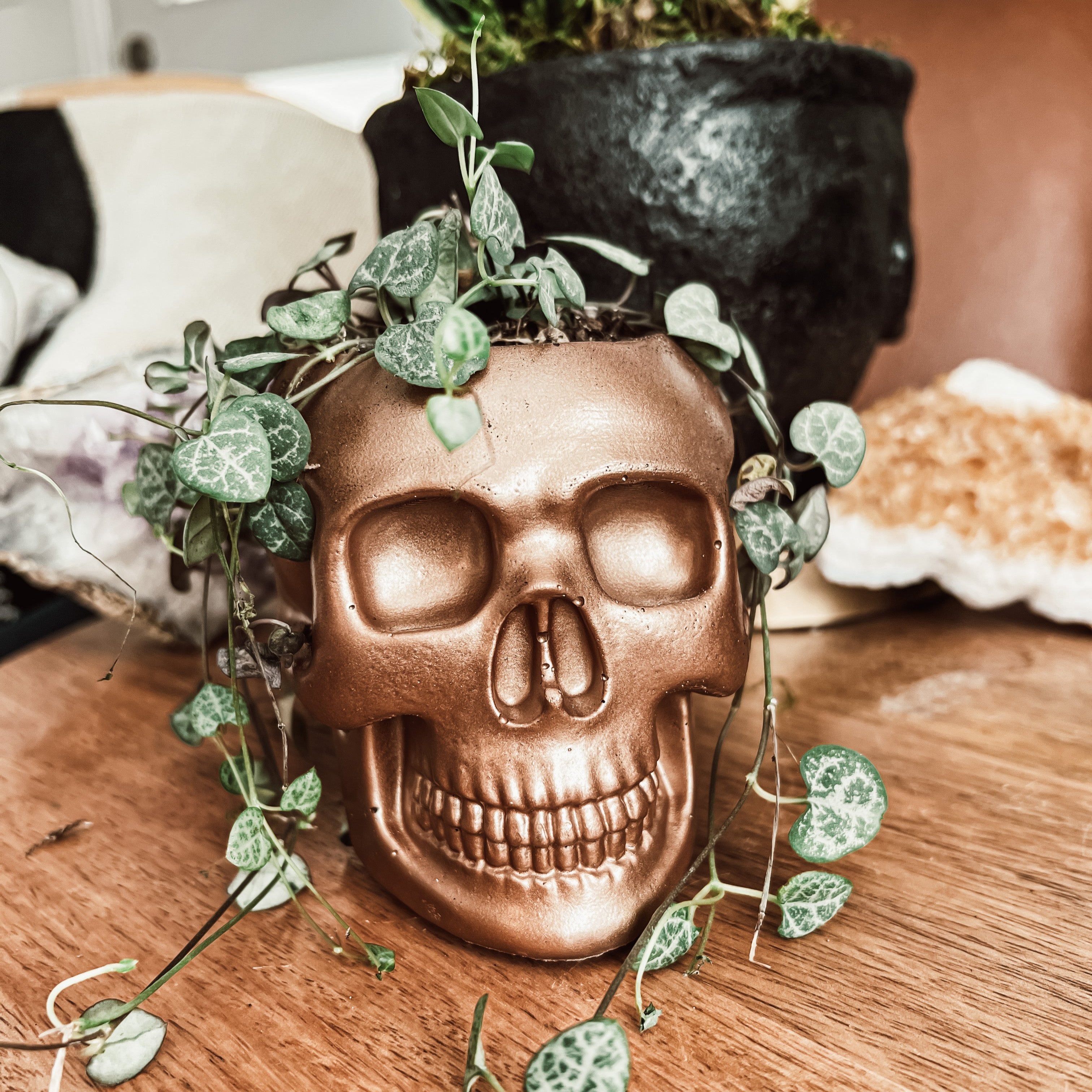 4" Concrete Skull Planter