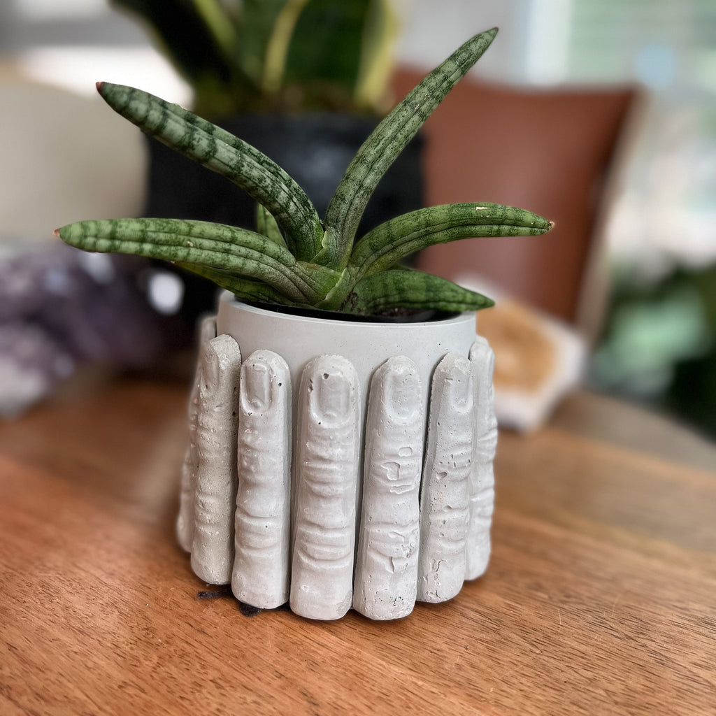 Concrete Finger Pots