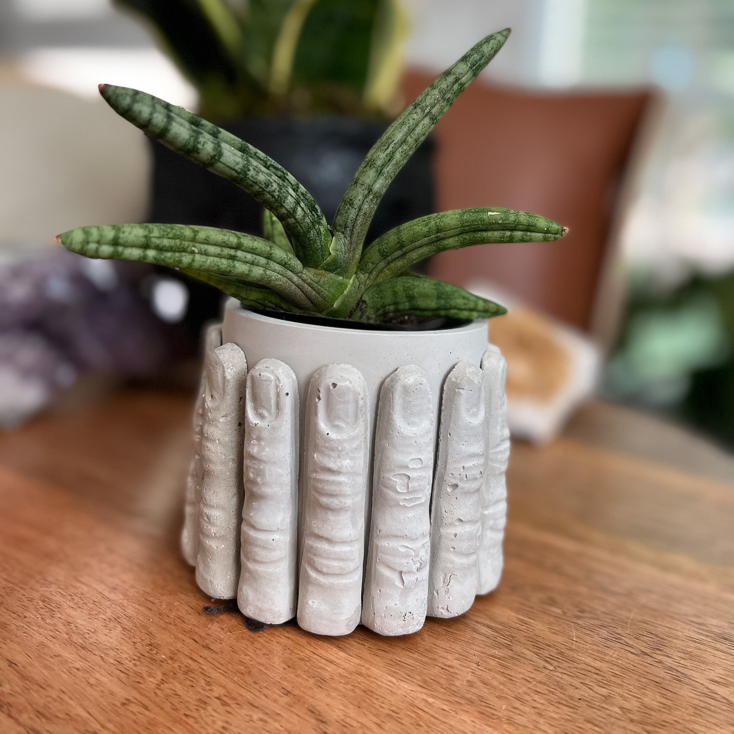 Concrete Finger Pots