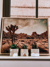 Load image into Gallery viewer, White &amp; Gold Trio Concrete Planters
