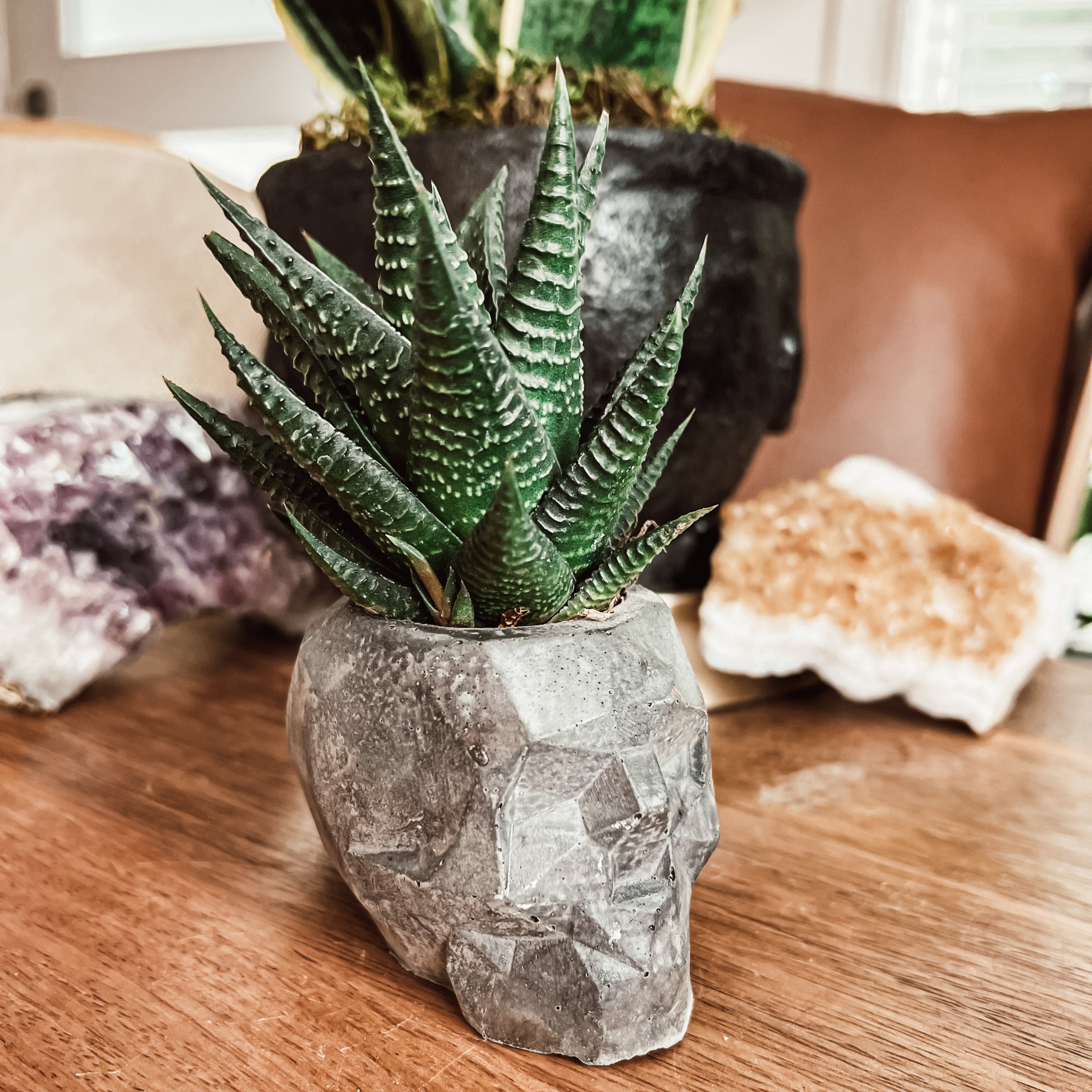 Geometric Concrete Skull Planter
