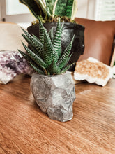 Load image into Gallery viewer, Geometric Concrete Skull Planter/Pen Holder
