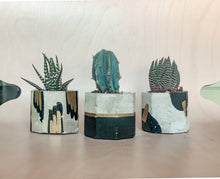 Load image into Gallery viewer, Black &amp; Gold Trio Concrete Planters
