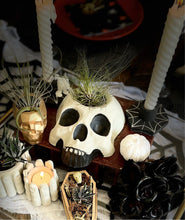 Load image into Gallery viewer, Skull Head Cement Planter / Candle Holder
