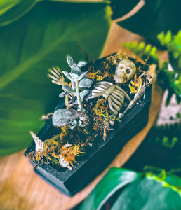 Coffin Cement Planter with Plant