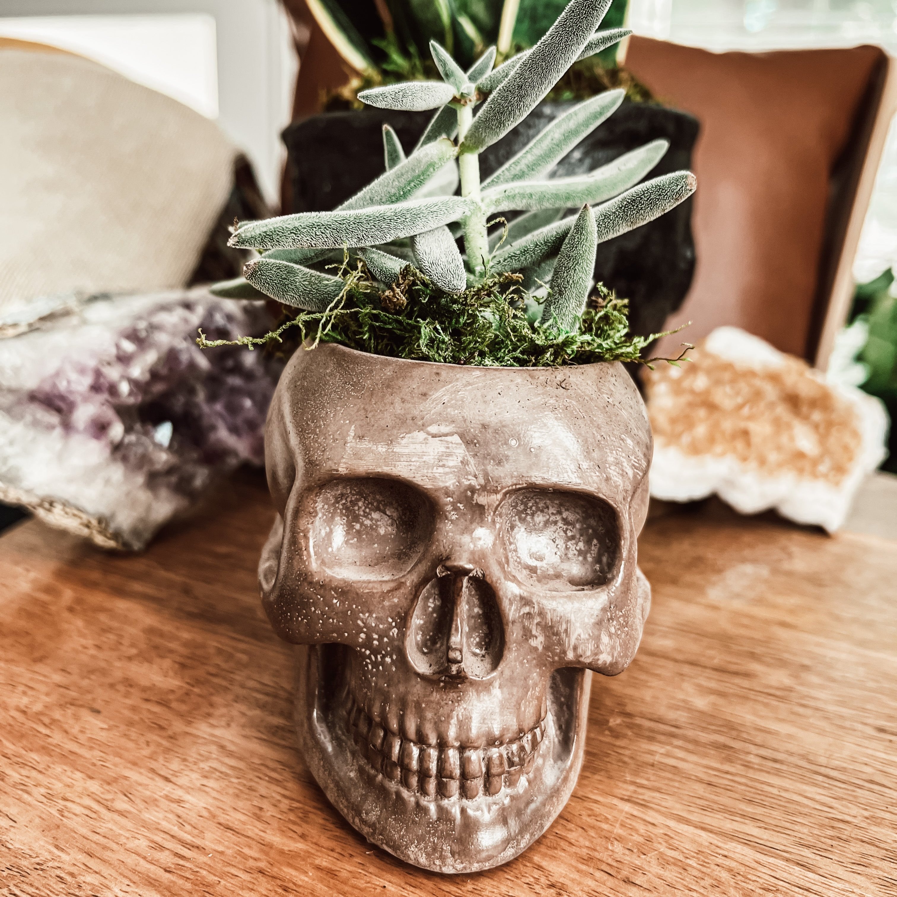 4" Concrete Skull Planter