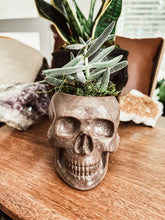 Load image into Gallery viewer, Concrete Skull Planter
