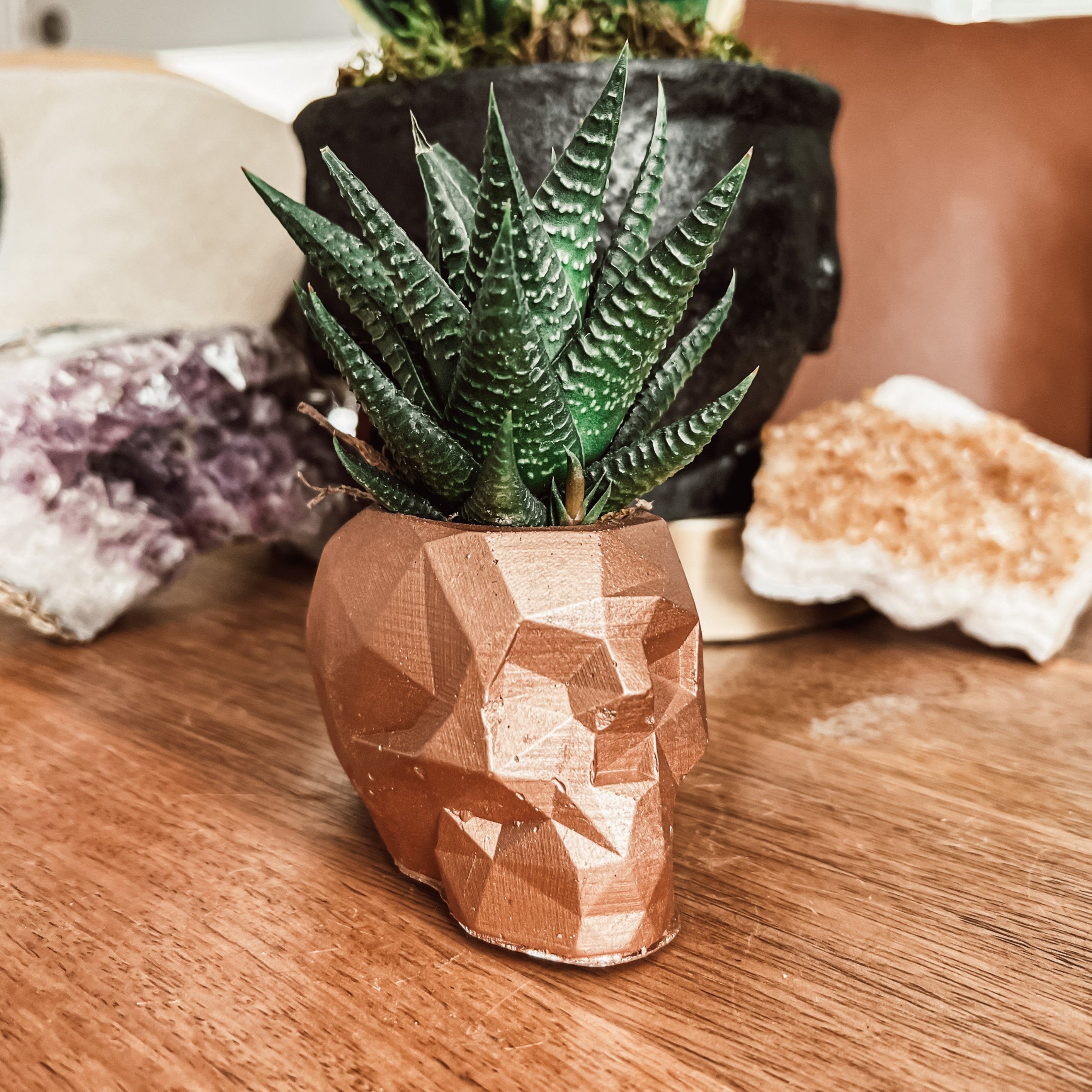 Geometric Concrete Skull Planter