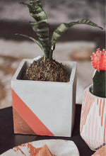 Load image into Gallery viewer, Large Square Concrete Planter
