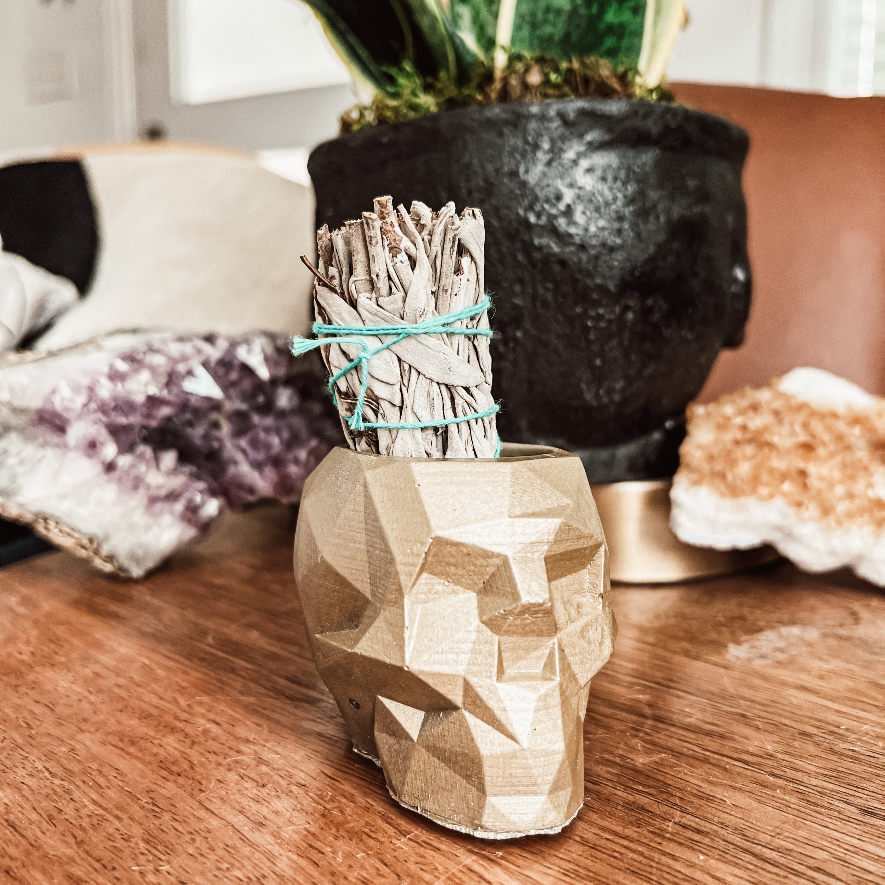 Geometric Concrete Skull Planter