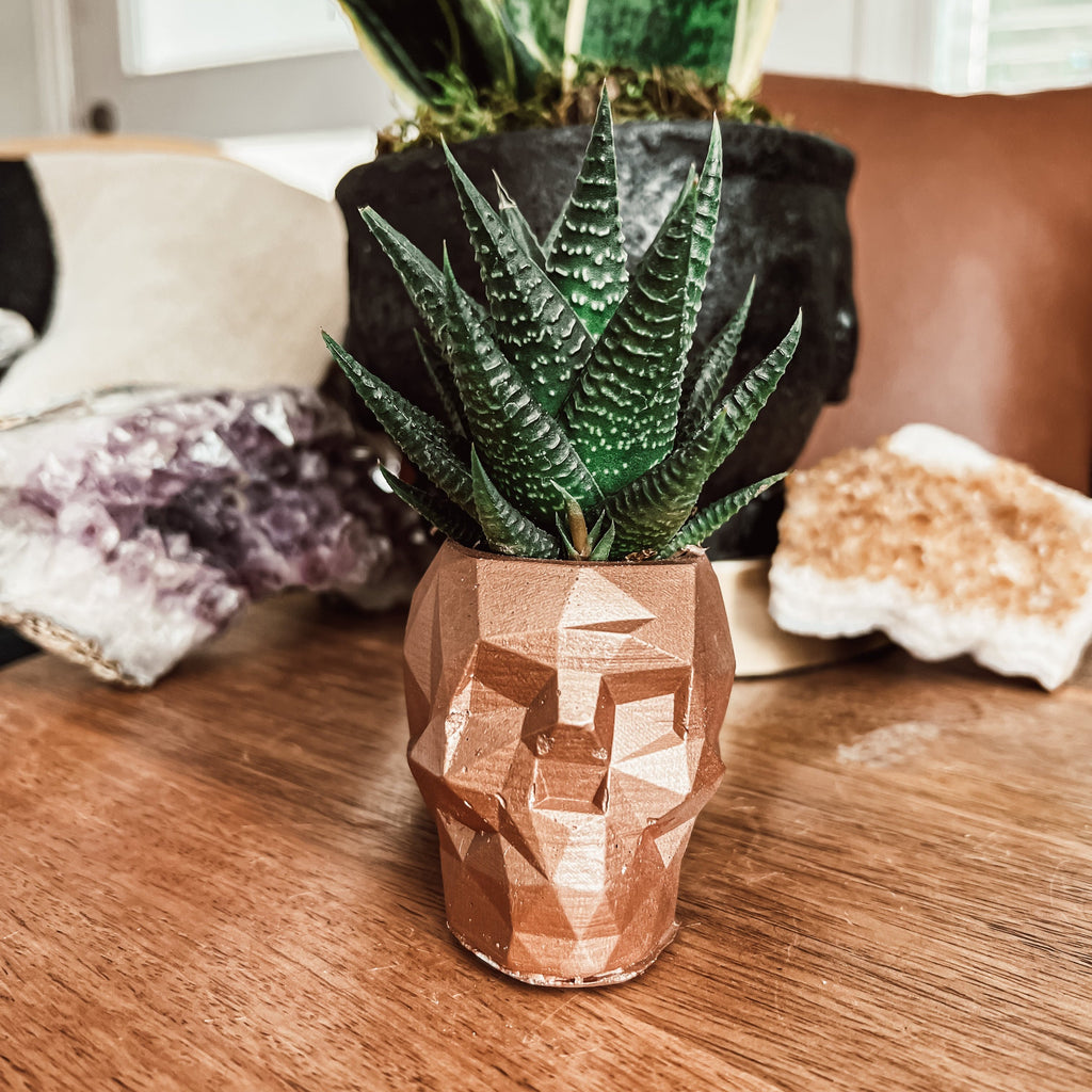 Geometric Concrete Skull Planter