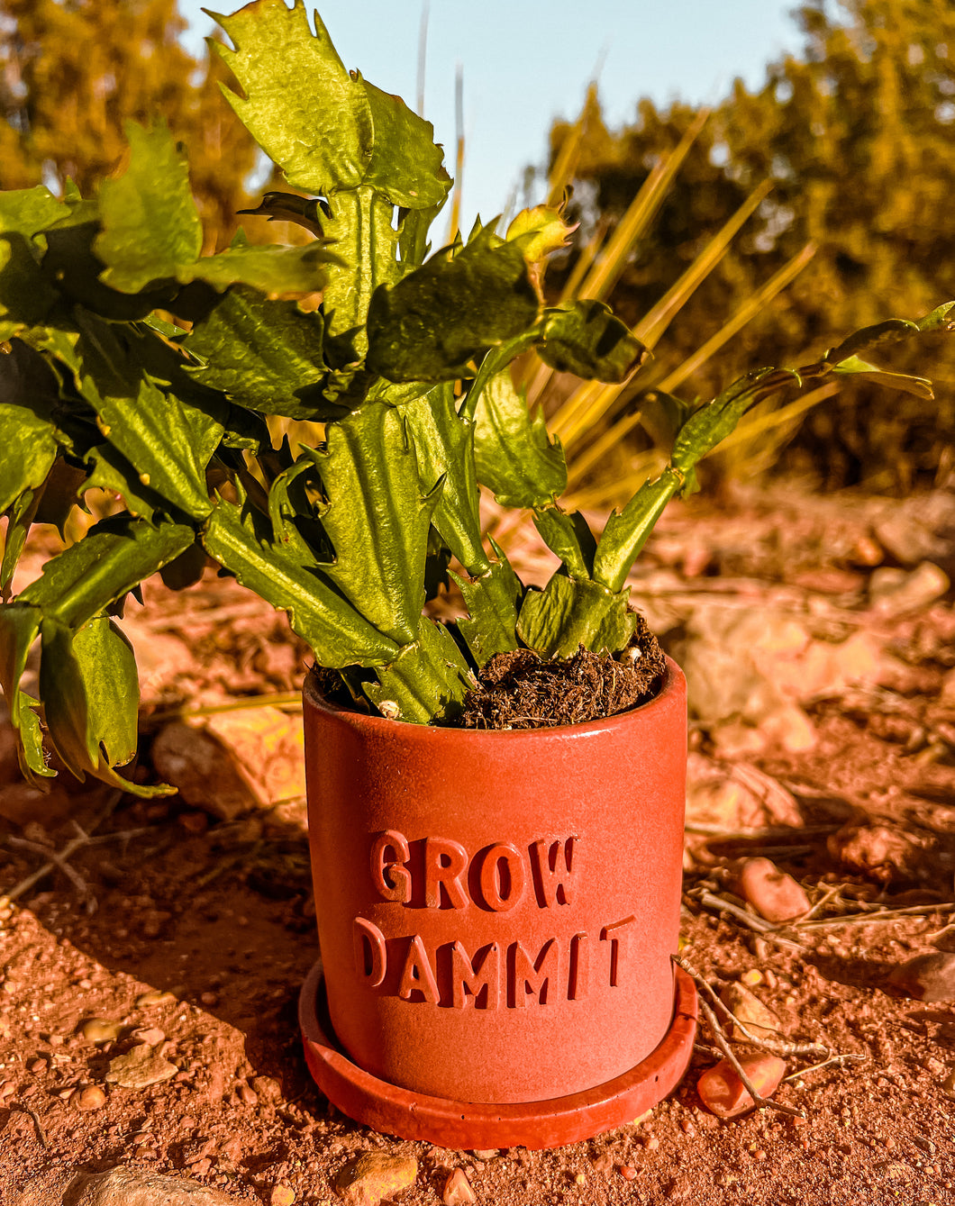 Grow Dammit Concrete Planter