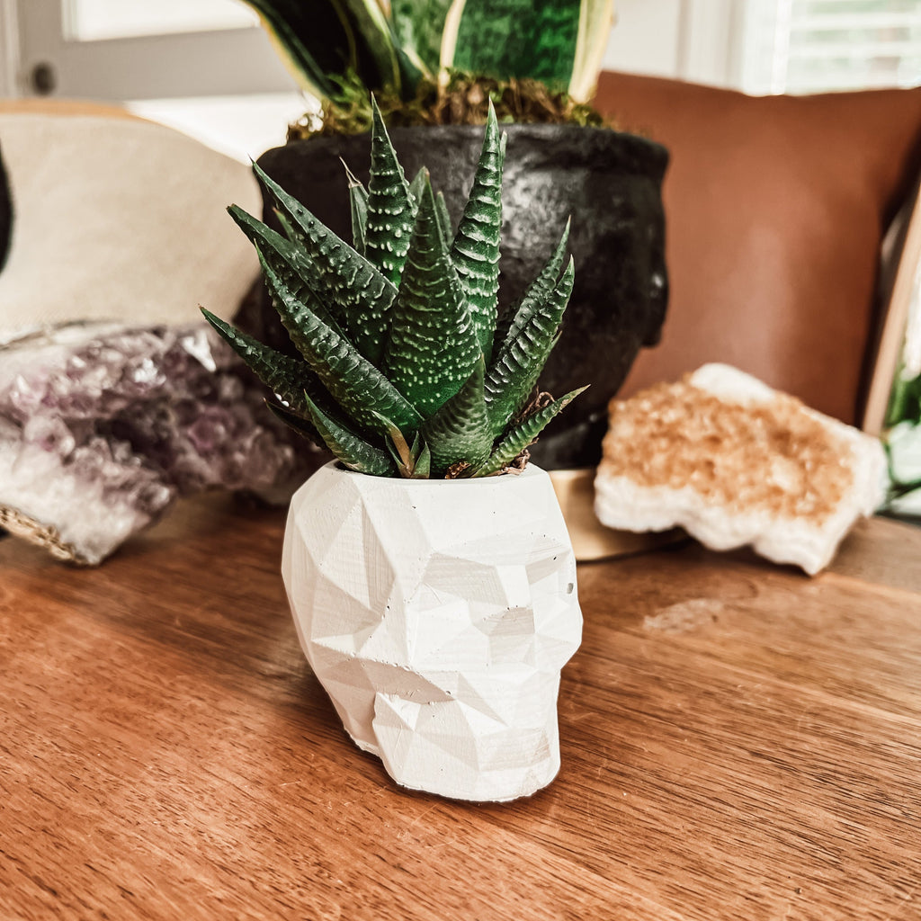 Geometric Concrete Skull Planter