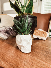 Load image into Gallery viewer, Geometric Concrete Skull Planter/Pen Holder
