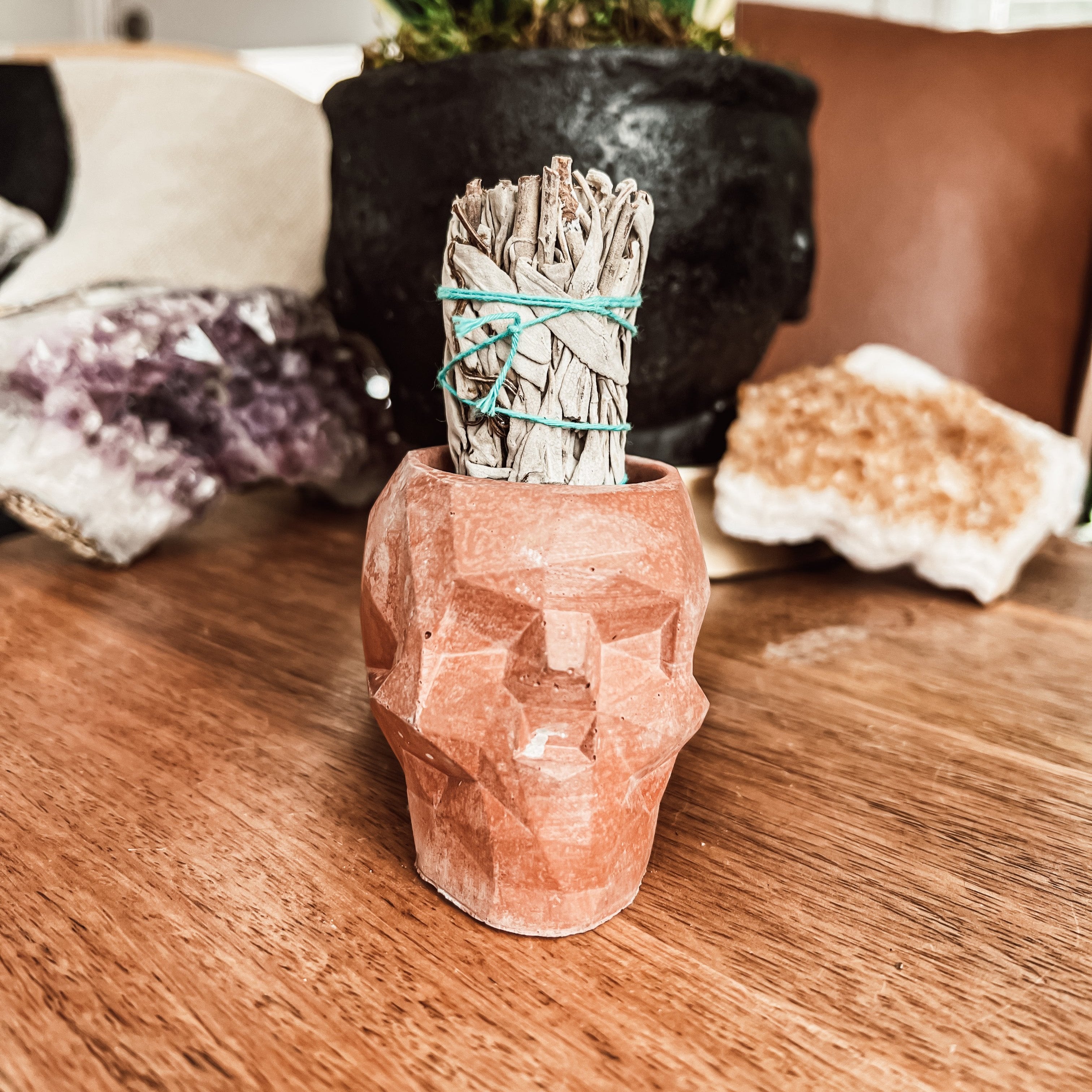 Geometric Concrete Skull Planter