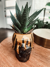Load image into Gallery viewer, Drippy Skull Cement Planter
