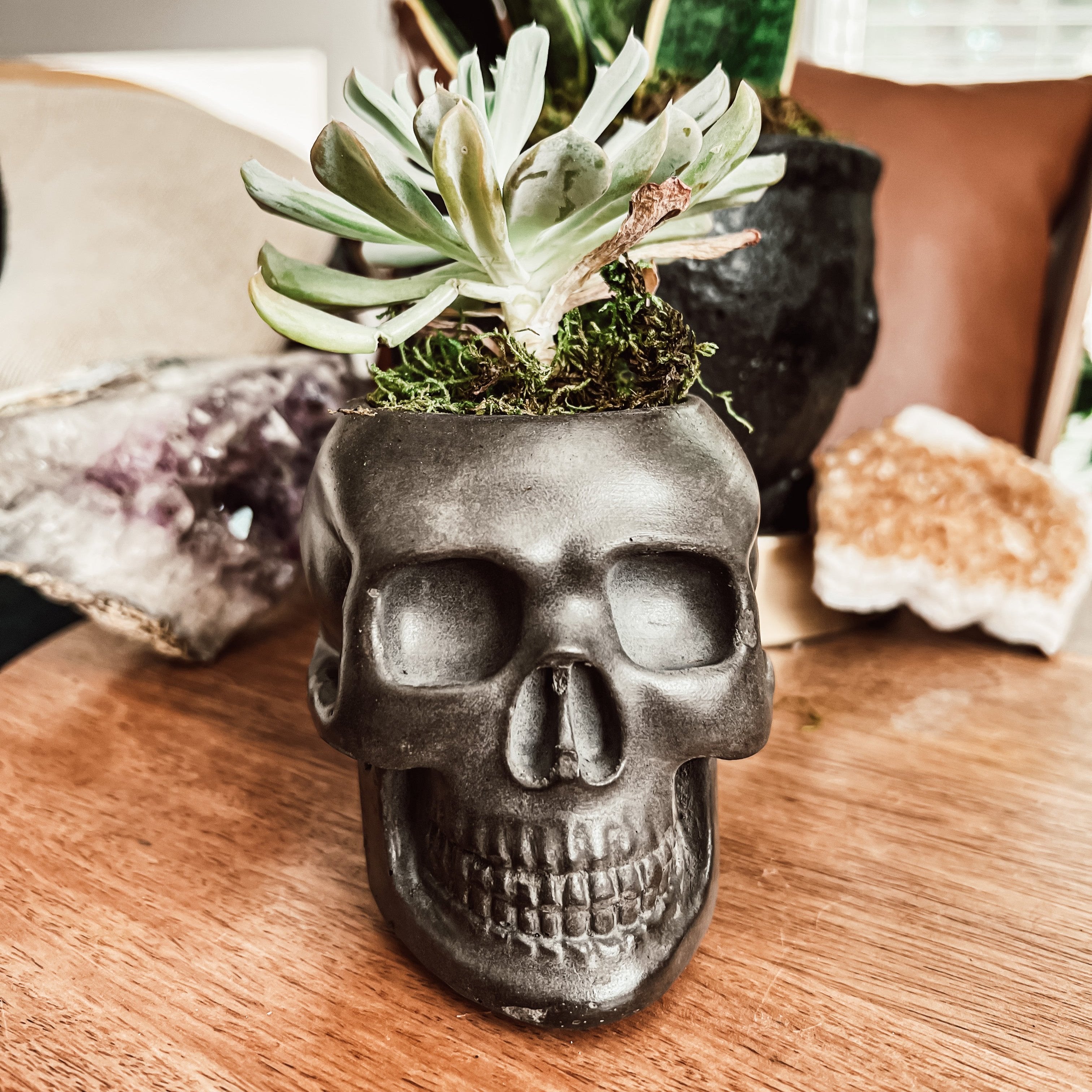 4" Concrete Skull Planter